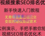 宋老师·短视频搜索SEO优化，教你10分钟创作一个短视频，三天排名上第一-88项目资源库