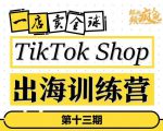 TikTokShop出海训练营（第十三期），打开全球流量新思维，出海抢占全球新流量，一店卖全球-88项目资源库