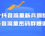Peter抖音流量新兵训练营-破解抖音流量密码群爆训练营（新兵）-88项目资源库