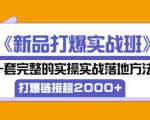凌童《新品打爆实战班》,一套完整的实操实战落地方法，打爆链接超2000+（28节课)-88项目资源库