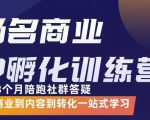 杨名商业IP孵化训练营，从商业到内容到转化一站式学 价值5980元-88项目资源库