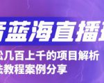 抖音最新蓝海直播玩法，3分钟赚30元，一天轻松1000+，只要你去直播就行【详细玩法教程】-88项目资源库