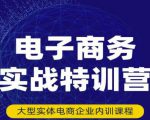 民赛电气内部出品：电子商务实战特训营，全方位带你入门电商，308种方式玩转电商-88项目资源库
