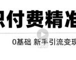 玩转知识付费项目精准引流，给你1套课多账号操作落地方案！-88项目资源库