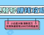 玩转微信视频号赚钱：小白变大咖涨粉百万实现快速变现1000万的现金流-88项目资源库