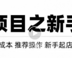 虚拟项目快速起店模式，0成本打造月入几万虚拟店铺！-88项目资源库