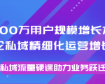 8000万用户规模增长方法论私域精细化运营增长，私域流量硬课助力业务跃迁-88项目资源库