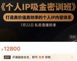 个人IP吸金密训班，打造高价值高效率的个人IP内容体系（价值12800元）-88项目资源库