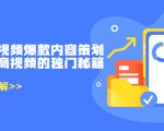带货短视频爆款内容策划，关于电商视频的独门秘籍（价值499元）-88项目资源库