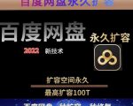 百度网盘无限扩容技术，外面卖399的，无论自己用还是用做引流都可以-88项目资源库