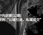 新媒体IP内训营(12期)，一套全新的“公域引流，私域成交”IP打法，直接带走-88项目资源库