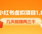 《小红书虚拟项目1.0》账号注册+养号+视频制作+引流+变现，几天就赚两三千-88项目资源库