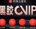 网易云音乐撸黑胶年卡及变现方法，收益可无限放大-88项目资源库