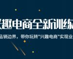 兴趣电商全新训练营：打破品销边界，带你玩转“兴趣电商“实现业务增长-88项目资源库