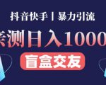 日收益1000+的交友盲盒副业丨有手就行的抖音快手暴力引流-88项目资源库