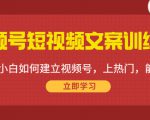 视频号短视频文案训练营：0基础小白如何建立视频号，上热门，能卖货！-88项目资源库