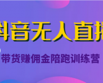 抖音无人直播带货赚佣金陪跑训练营（价值6980元）-88项目资源库