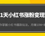 21天小红书涨粉变现营（第4期）：带你掌握小红书爆款玩法，月赚10W+秘密-88项目资源库
