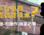 外面收费2980的全平台电商白嫖撸货技术（仅揭秘勿操作-商家防范必看）-88项目资源库