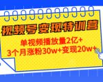 21天视频号变现特训营：单视频播放量2亿+3个月涨粉30w+变现20w+（第14期）-88项目资源库