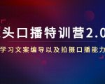 镜头口播特训营2.0版，学习文案编导以及拍摄口播能力（50节课时）-88项目资源库