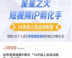 瑶瑶·自然流短视频IP孵化第二期，14天线上实战训练营，赋能100个人成为有数据能赚钱的独立IP孵化手-88项目资源库