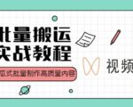 视频号批量搬运实战操作运营赚钱教程,傻瓜式批量制作高质量内容【附视频教程+PPT】-88项目资源库
