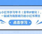 厦九九小红书学习年卡（全年IP孵化），沉浸式学习，一起成为有影响力的小红书博主-88项目资源库