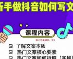 新手做抖音如何写文案，手把手实操如何拆解热门文案-88项目资源库