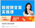 小秋·短视频文案实操课,从0到1教你做短视频的经验技巧-88项目资源库