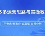 拼多多店铺运营思路与实操教程，快速学会拼多多开店和运营，少踩坑，多盈利-88项目资源库
