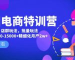 美团电商特训营：美团·店群玩法，无脑铺货月产出6000-15000+精细化月产2w+-88项目资源库