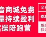抖音商城搜索持续盈利陪跑成长营，抖音商城搜索从0-1、从1到10的全面解决方案-88项目资源库