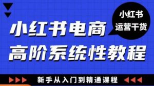 小红书电商高阶系统教程，新手从入门到精通系统课-88项目资源库