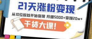 21天精准涨粉变现干货大课：从10位粉丝开始变现月增5000+变现20w+-88项目资源库