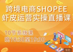 跨境电商Shopee虾皮运营实操直播课，从零开始学，入门到精通（10节系统课）-88项目资源库