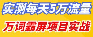 百度万词霸屏实操项目引流课，30天霸屏10万关键词-88项目资源库