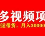 多多带货视频快速50爆款拿带货资格，搬运带货，月入30000【全套脚本+详细玩法】-88项目资源库