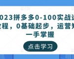 2023拼多多0-100实战运营教程，0基础起步，运营知识一手掌握-88项目资源库