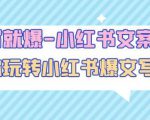 一写就爆-小红书文案课：带你玩转小红收爆文写作（45节课）-88项目资源库