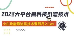 大平台黑科技引流技术，小白也能靠这些技术混到月入1w+(2022年的课程）-88项目资源库