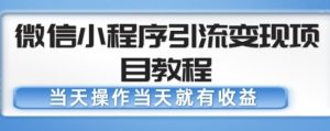 微信小程序引流变现项目教程，当天操作当天就有收益，变现不再是难事-88项目资源库