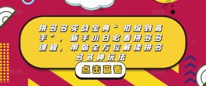 拼多多实战宝典“初级到高手”，新手小白必看拼多多课程，带你全方位解读拼多多各种玩法-88项目资源库
