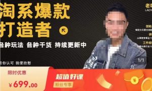 锋投老叶全店动销，淘系干货汇总，各种玩法，淘系爆款打造者-88项目资源库