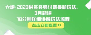 大炮·2023拼多多强付费最新玩法，3月新课​78分钟详细讲解玩法流程-88项目资源库
