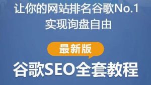 谷歌SEO实战教程：如何让你的网站在谷歌排名第一，内容从入门到高阶，适合个人及团队-88项目资源库