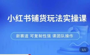 小红书铺货玩法实操课，流量大，竞争小，非常好做，新赛道，可复制性强，可团队操作-88项目资源库
