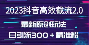 日引300＋创业粉，独家抖音高效截流2.0玩法（价值1280）-88项目资源库