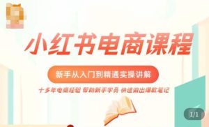 小红书电商新手入门到精通实操课，从入门到精通做爆款笔记，开店运营-88项目资源库