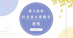 抖音快手暴力涨粉美女混剪视频教程，百分百过原创图片教程！附带违规申诉方法-88项目资源库